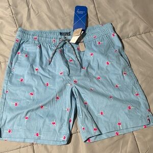Light Blue Flamingo Print Men's Shorts